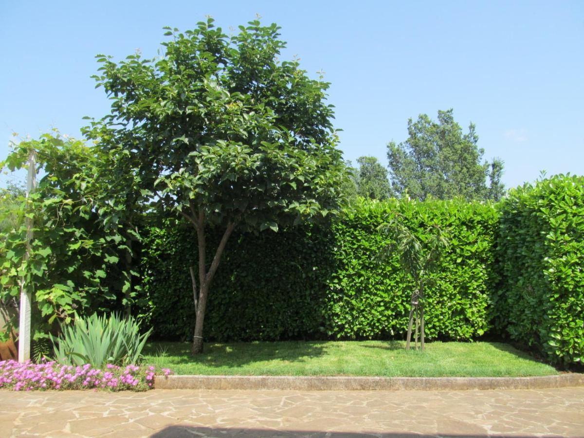 זמברטיה Apartments Zvezdica*** With Garden מראה חיצוני תמונה