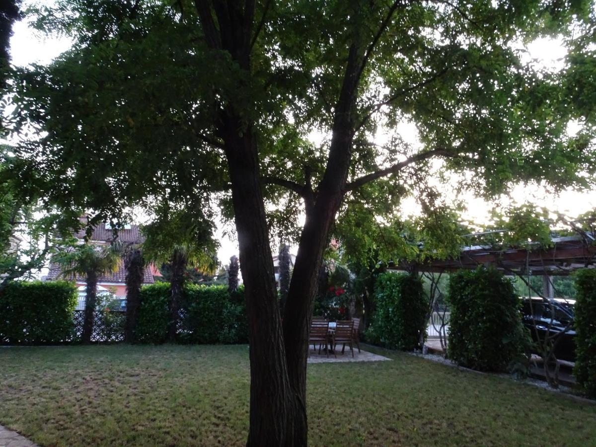 זמברטיה Apartments Zvezdica*** With Garden מראה חיצוני תמונה